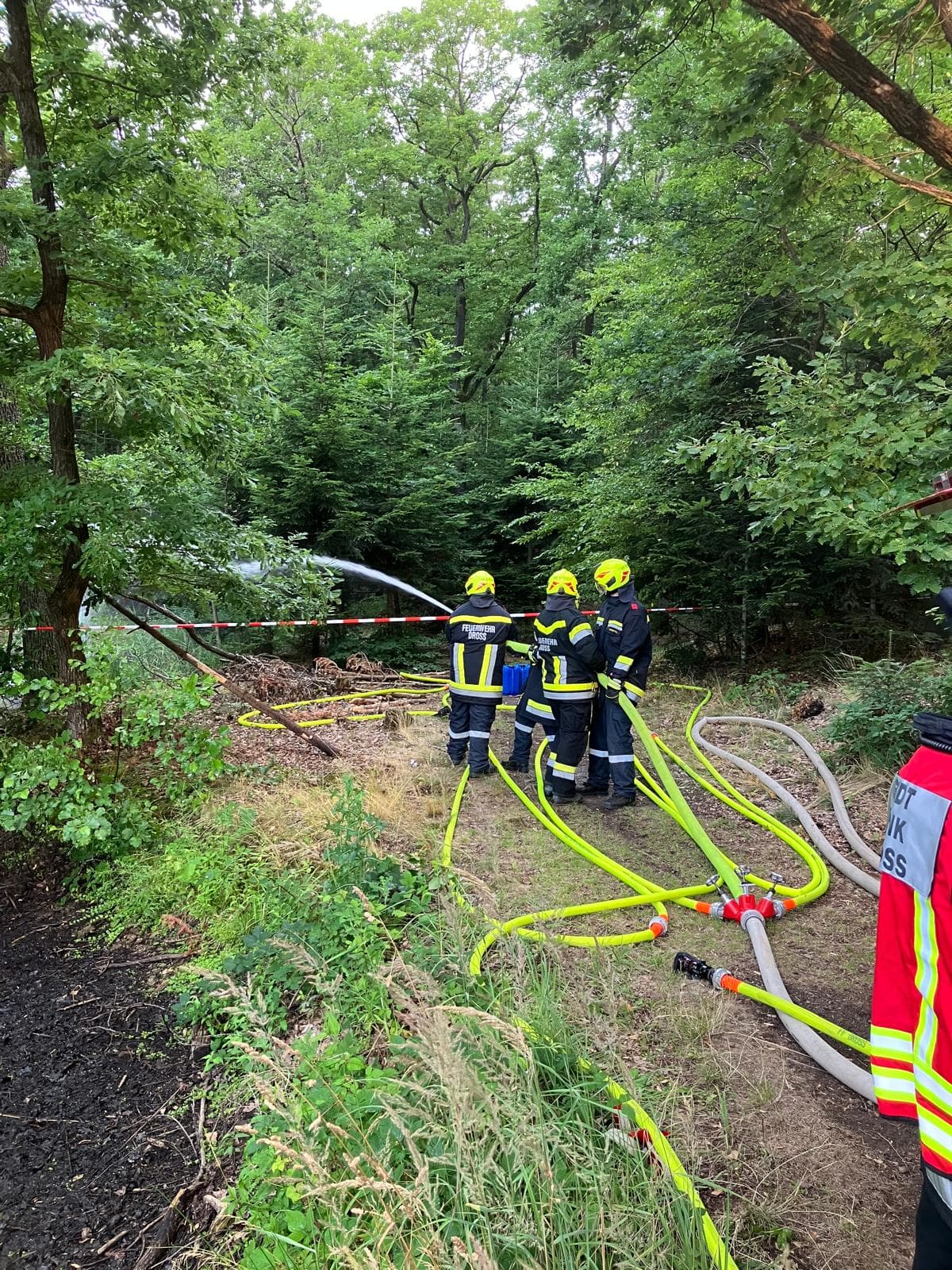 Gallery image 6 - Schadstoffübung am Föhrenteich